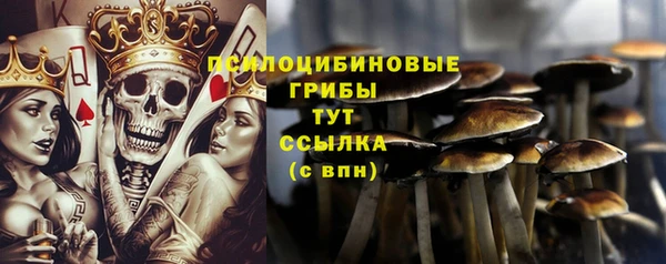 ALPHA PVP Новодвинск