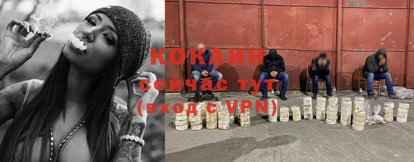 ALPHA PVP Новодвинск