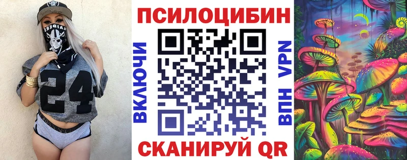 Купить  Кувшиново  Псилоцибиновые грибы Psilocybe 