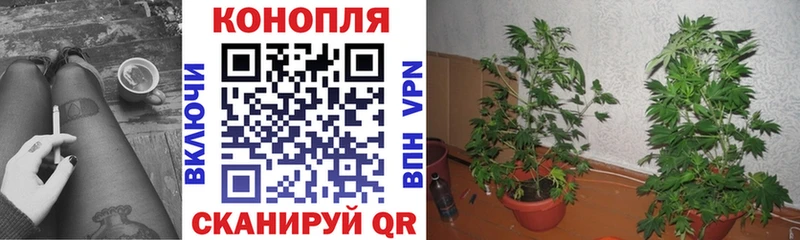 Купить  Кувшиново  Марихуана Bruce Banner 